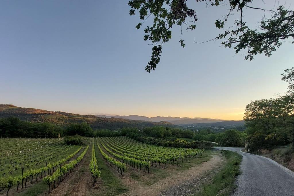Vue De Rennes-Le-Chateau Couiza Eksteriør billede