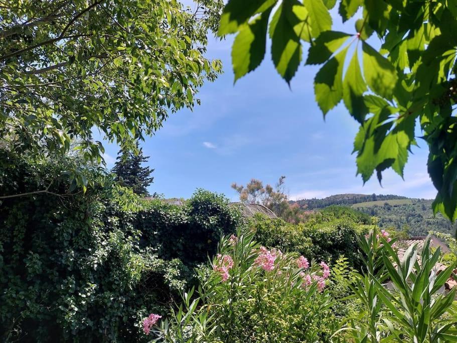 Vue De Rennes-Le-Chateau Couiza Eksteriør billede